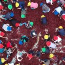 괴산고추축제 이미지