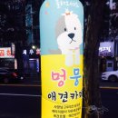 코아애견 이미지