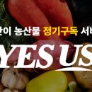 예스 팜 이미지