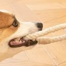 가정1-01-005 이미지