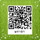 놀부자동차 이미지