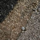 쑥고개사우나 이미지