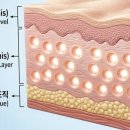 평화광학 이미지