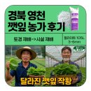 에스제이유통 | [후기] 🌿 영천 깻잎농가 방문기 — 펄라이트 재배 후기