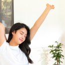 강화도 루비 이미지