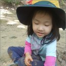 사계절 생태놀이 이미지