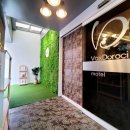 박스도로시 이미지