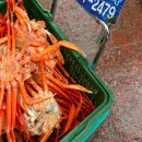 ⭐️핫플 동해 묵호 아이랑 물놀이 여행 | 로컬 맛집, 가족 여행 코스 후기🦀