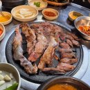 불타는돈갈매기 이미지