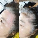 시크릿바비 이미지