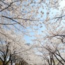 송파나루(놀이마당) 화장실 이미지