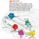 작심삼일 이미지