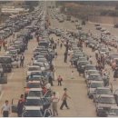 파인짐(FINE GYM) 이미지