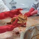 보광병원 이미지