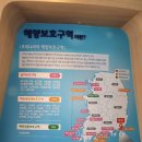 Waving | 부산 볼거리 ~ 부네치아 라고 불리는 장림포구