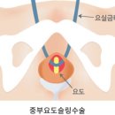 어비뇨기과의원 이미지