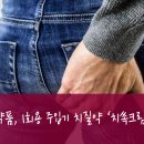 [(푸레파인연고;치질약)/*한미약품/칫속크림] -시몬 이용구- 이미지