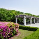 경희대학교국제캠퍼스학생회관