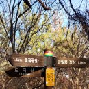 01-9 동구 Daum카페