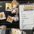 치즈컷바버샵