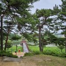 기절초뽕 - 안산시 상록구 이동로 36 | 기절초뽕