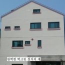 [제주벽시공] 제주몰탈반인 전문가 벽크린산업 방문기