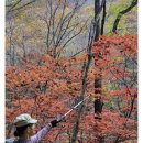 산우 이미지