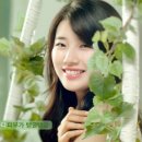 더바디 이미지