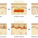 리즈힐의원 이미지