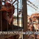 화해농장 이미지