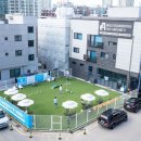 스퀘어독스프렌즈