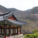 화엄사 이미지