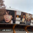 명진체육관 | [잔나비 콘서트] 2026 합창의 밤 🪩 잠실실내체육관 3층 34구역 12열 혼콘후기