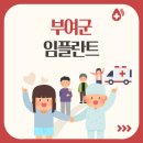 홍산박치과의원 | 부여군에서 임플란트 필요한 분들을 위한 정보 정리