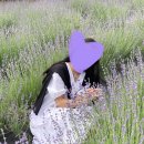 미르당 이미지