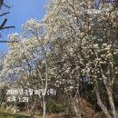 충혼탑 주차장 주변 이미지