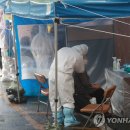 사하구-19 연합뉴스