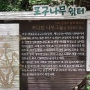 송도 해상케이블카 타고 암남공원 이미지