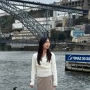 올리브 호스텔 | 포르투갈 포르투 여행 1- 샌드맨 호스텔, nata lisboa, fabrica da nata, 마이리얼트립 포르투 시내투어...