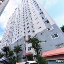 학장중학교 이미지