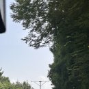 데이롱 카페 산본가야점