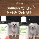 20살 노견도 편안했던 저자극 강아지샴푸, 프레쉬 도그 샴푸 후기