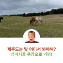 돌풍목장 이미지