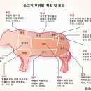 신흥정육식당 이미지