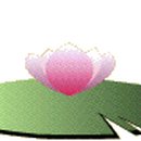 아모카(amogha)