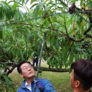 이재명농장 이미지