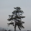 참송 이미지