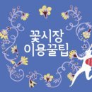 시장터미널 이미지