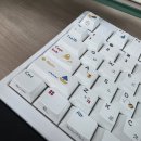 달슈가 | <한성 TGF CLOUD TF 브라운슈가토독 35g 키즈> 한 달 후기, 절간 사무실, 유리손에 추천!