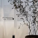 더준헤어 - 양천구 | 더준헤어